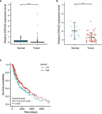 DIRAS2 Is a Prognostic Biomarker and Linked With Immune Infiltrates in Melanoma